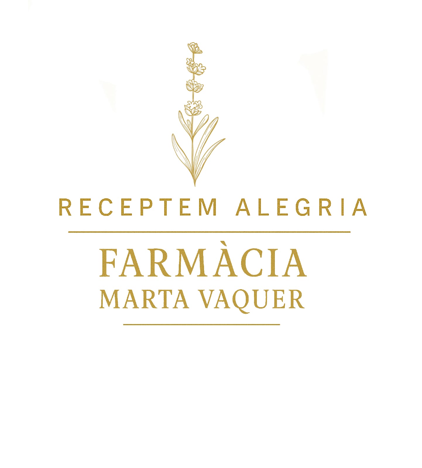 WhatsApp Image 2025-10-08 at 09.53.26